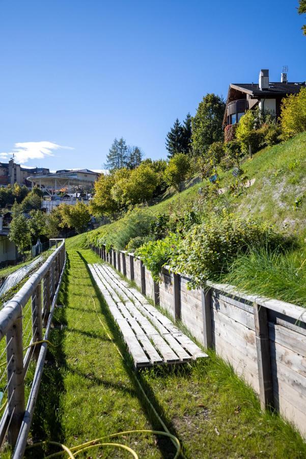 Giallo Dolomiti Wellness Pieve di Cadore Exterior foto